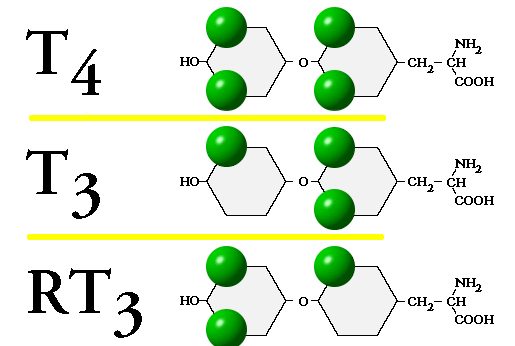 a3
